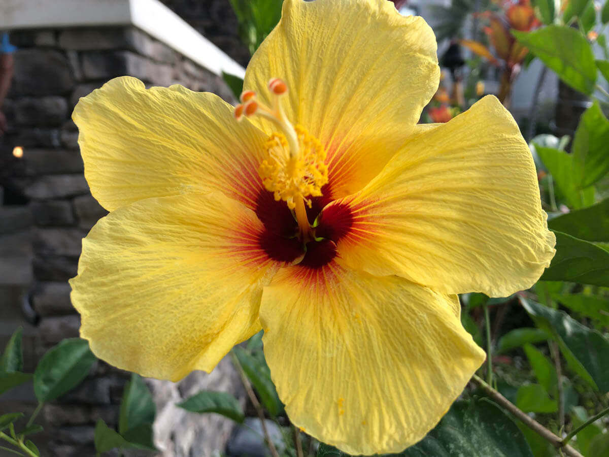 Our Top 10 Favorite Things in Maui